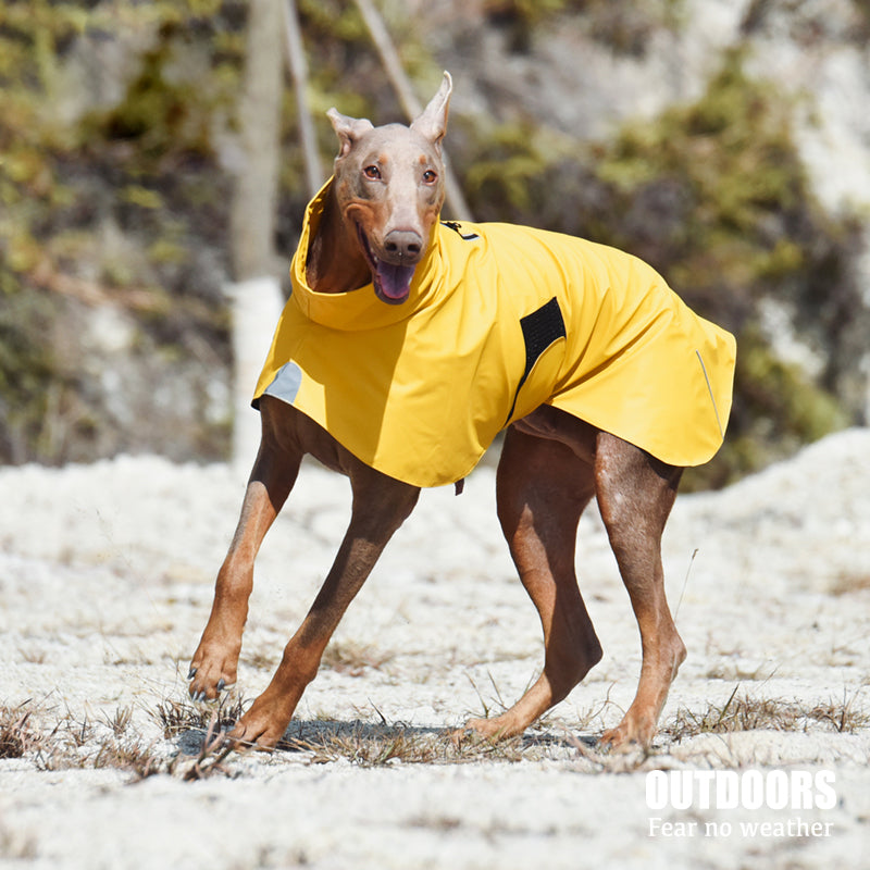 Keep Your Furry Friends Dry with the Pet Shell Jacket
